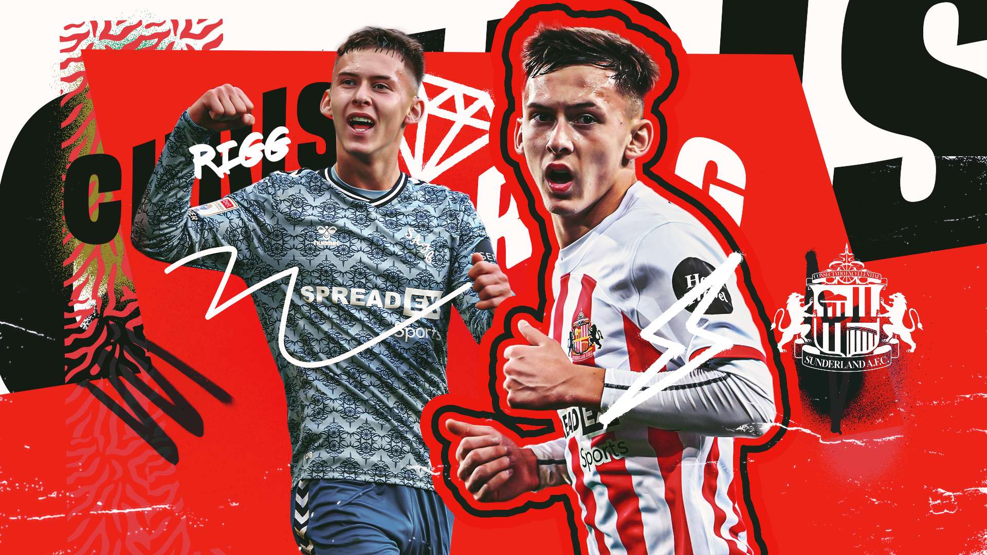 體的關注 體的關注