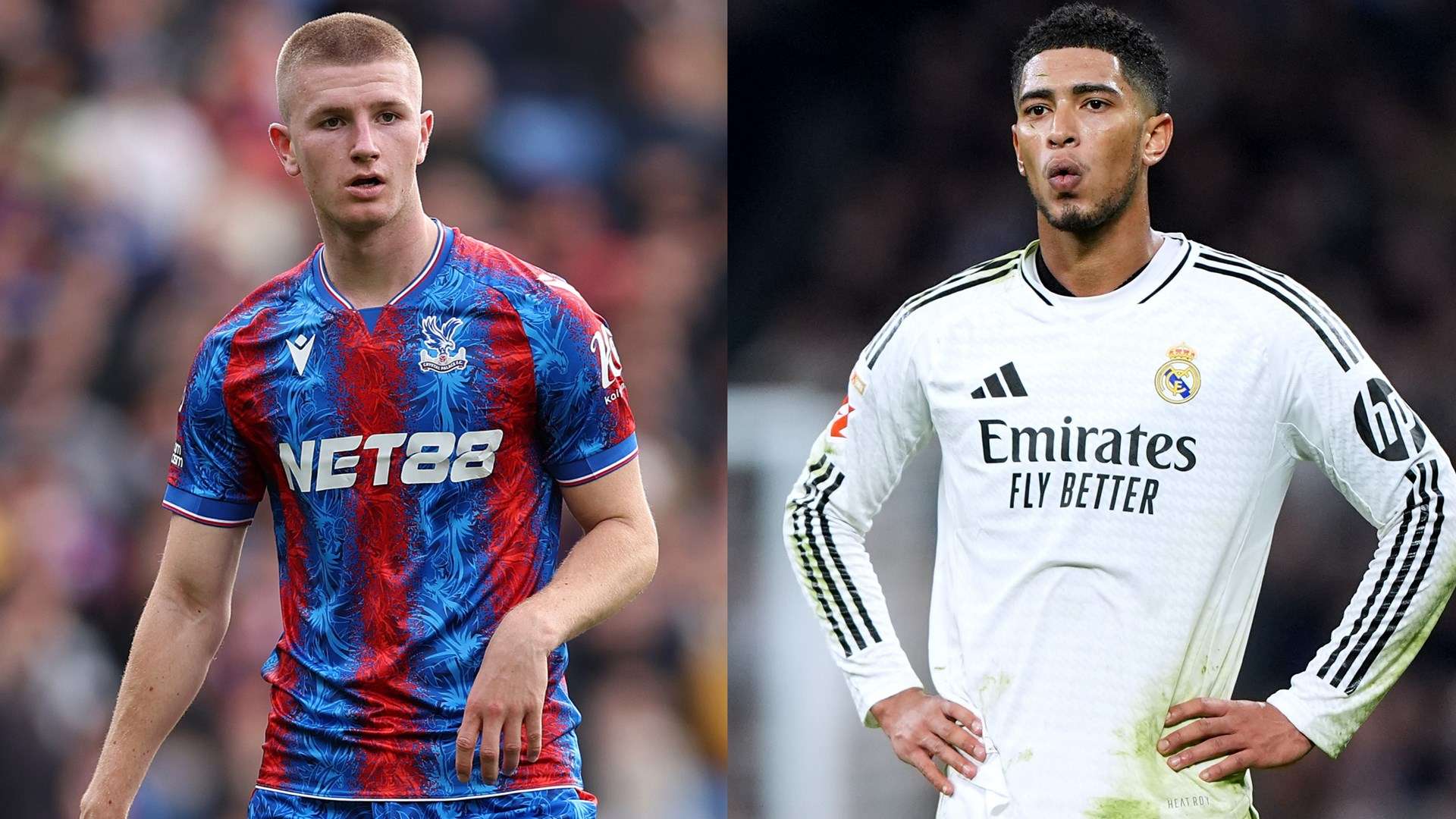 本場比賽 本場比賽