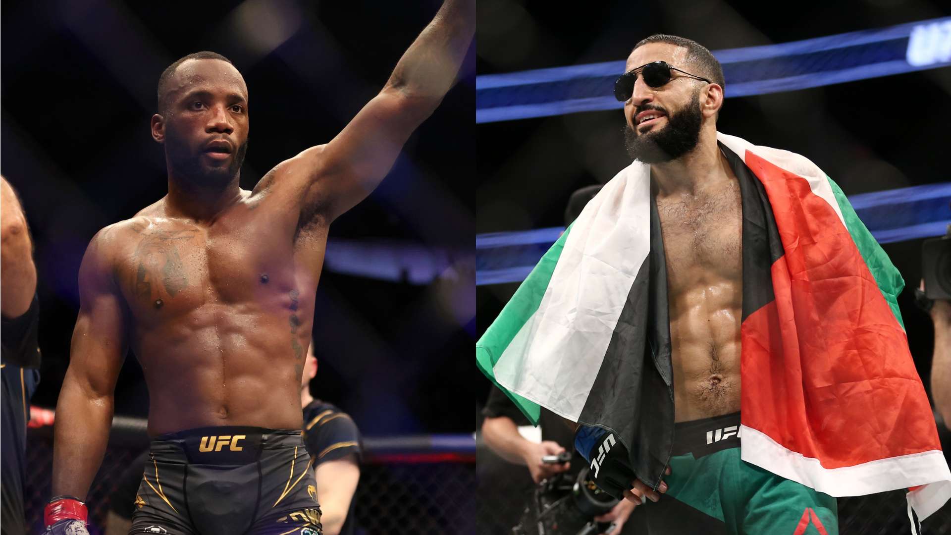 在这个平台 在这个平台