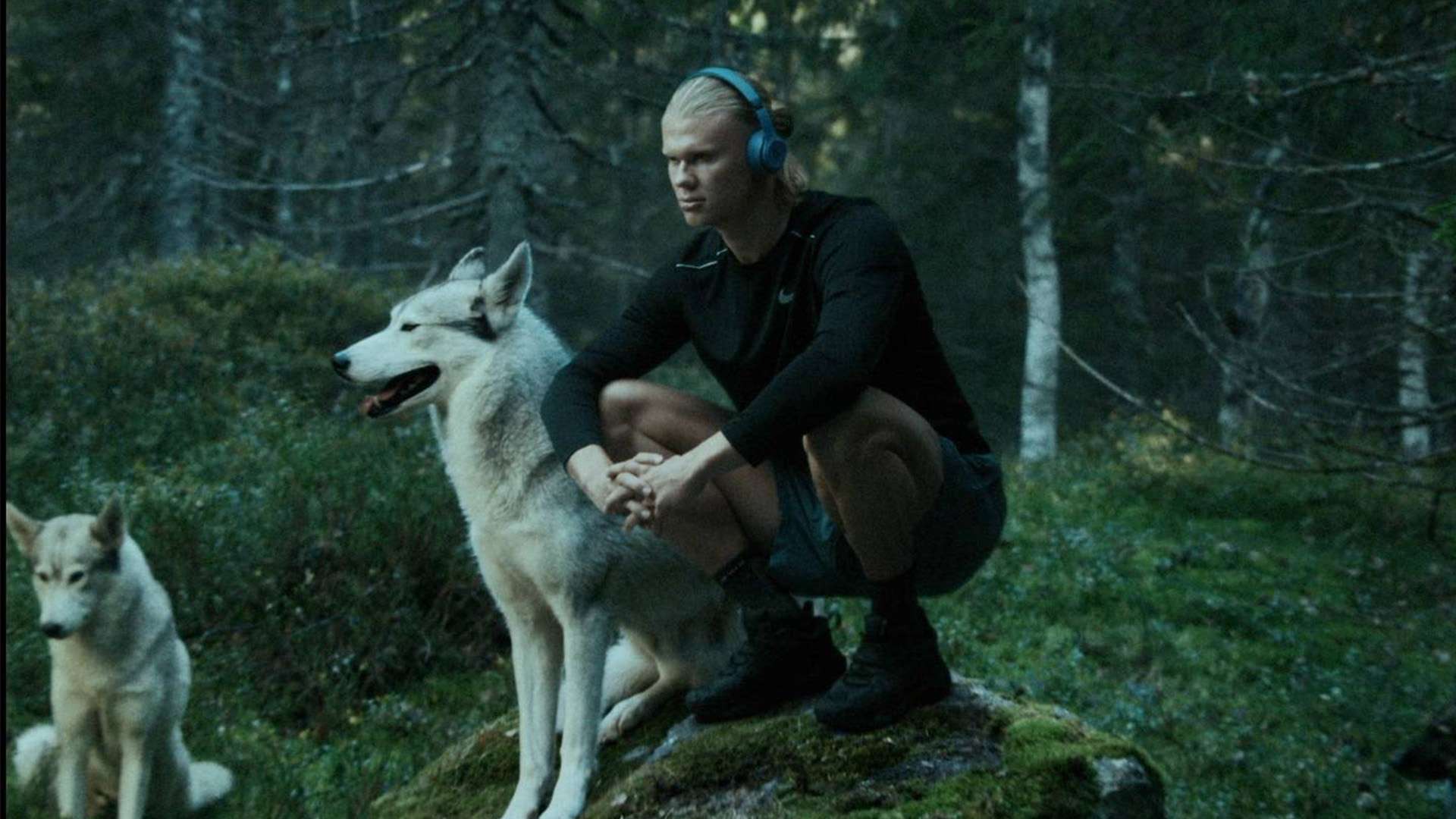 關注這位年 關注這位年